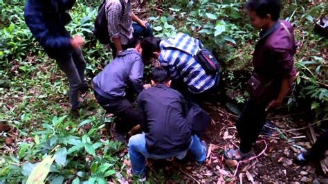 mesum di hutan|Wikwik di Tengah Hutan saat Siang Hari, Video Mesum ABG。